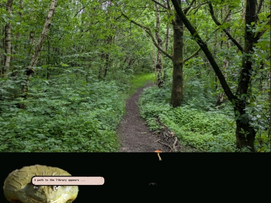 librarypath screenshot