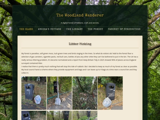 litterpicking screenshot