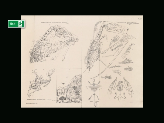 secretbook screenshot