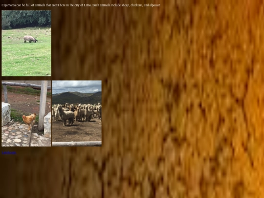 animals screenshot