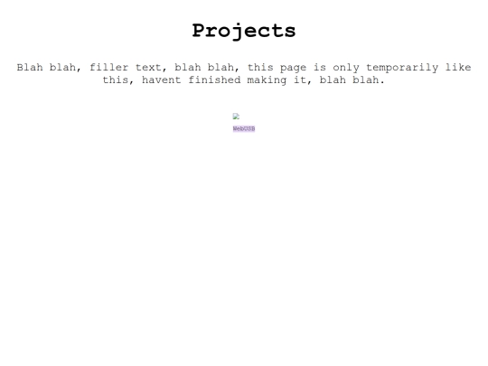 projects screenshot