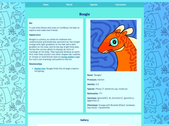 boogle screenshot