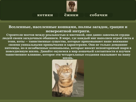 item1 screenshot