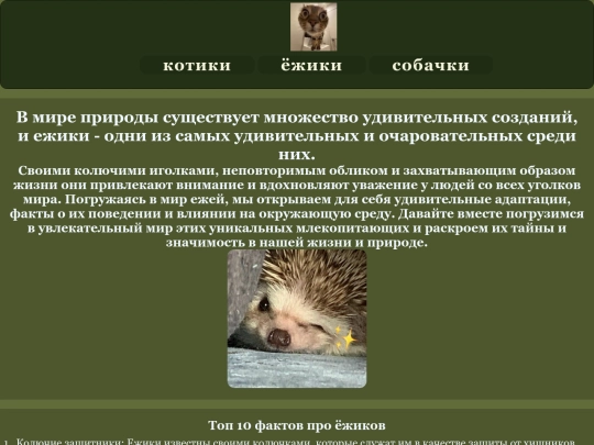 item2 screenshot