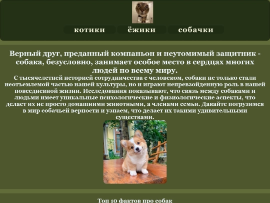 item3 screenshot