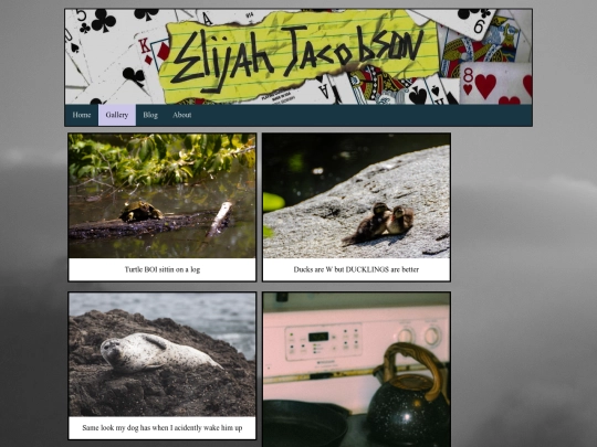gallery screenshot