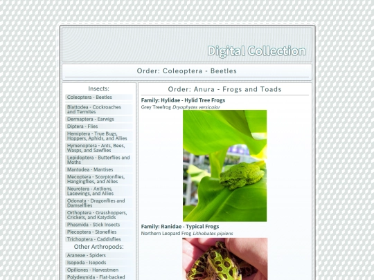 Anura screenshot