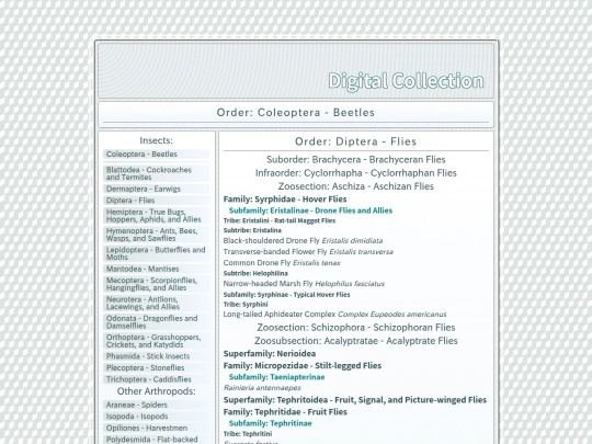 Diptera screenshot