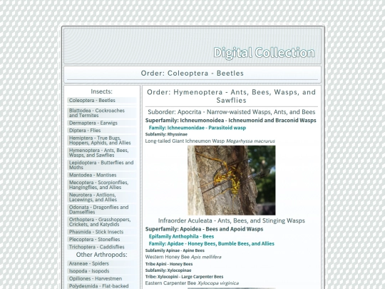 Hymenoptera screenshot