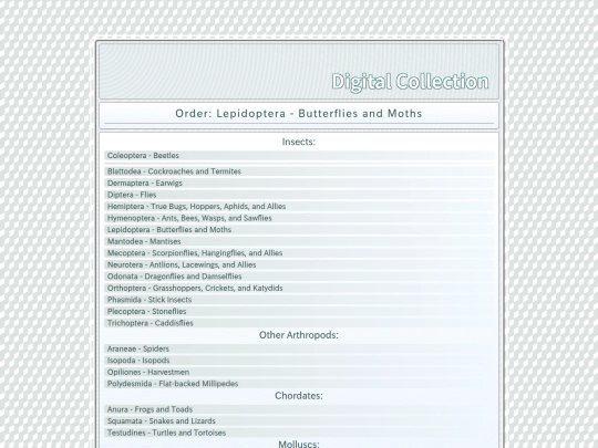 Lepidoptera screenshot