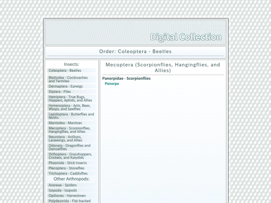 Mecoptera screenshot