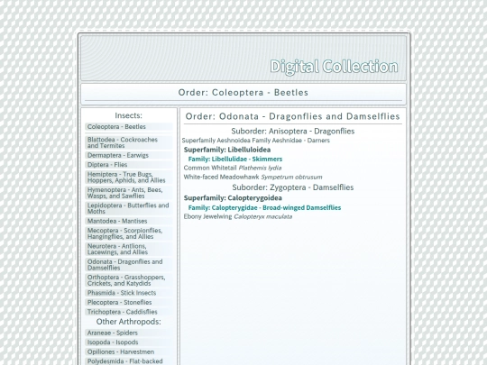 Odonata screenshot