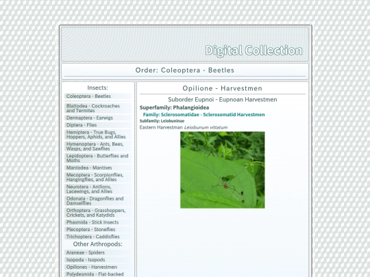 Opiliones screenshot