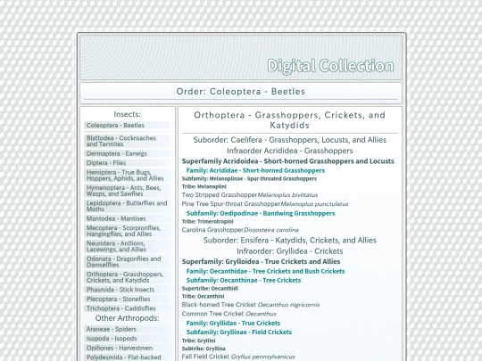 Orthoptera screenshot