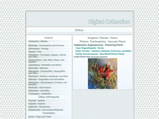 Other screenshot