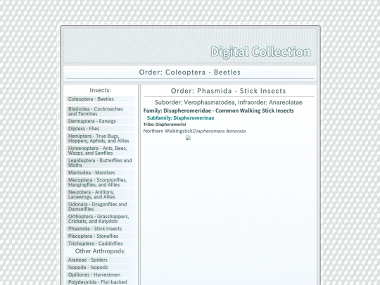 Phasmida screenshot