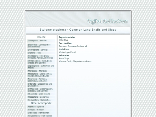 Stylommatophora screenshot