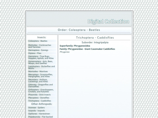 Trichoptera screenshot