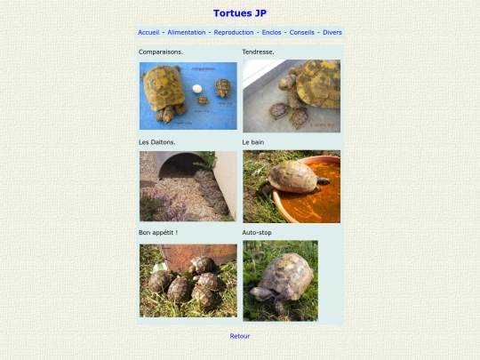 divers screenshot