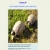 The web site of tortues-jp avatar