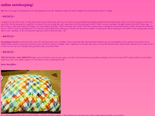 diary screenshot