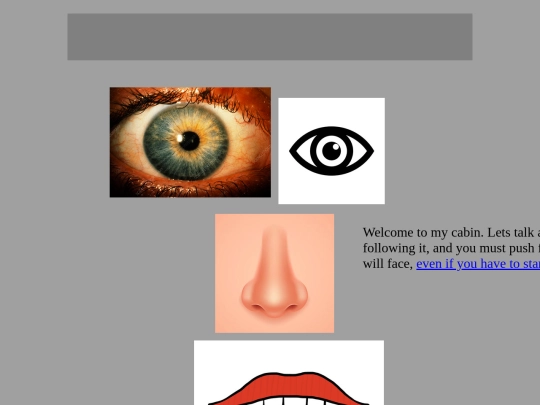 341/index3 screenshot