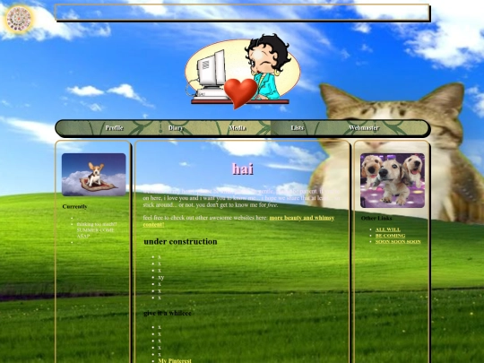 home screenshot