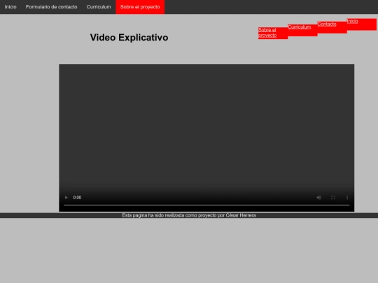proyecto screenshot
