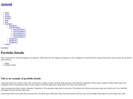 DKT/portfolio-details screenshot
