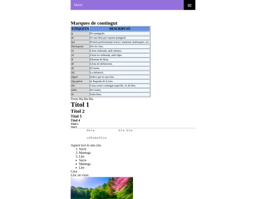 p01_etiquetes_contingut screenshot