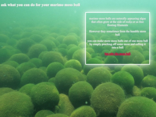 mossball2 screenshot