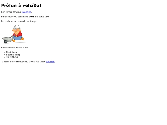 fyrsti screenshot