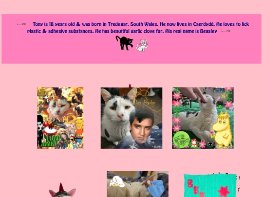 pages/Tonyshrine screenshot