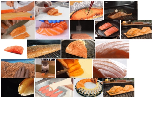 salmonfanpage screenshot