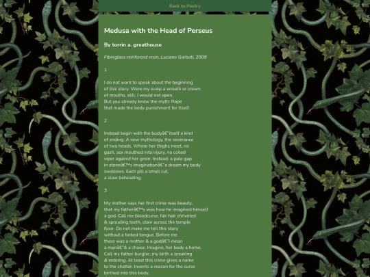 poetry/medusa screenshot