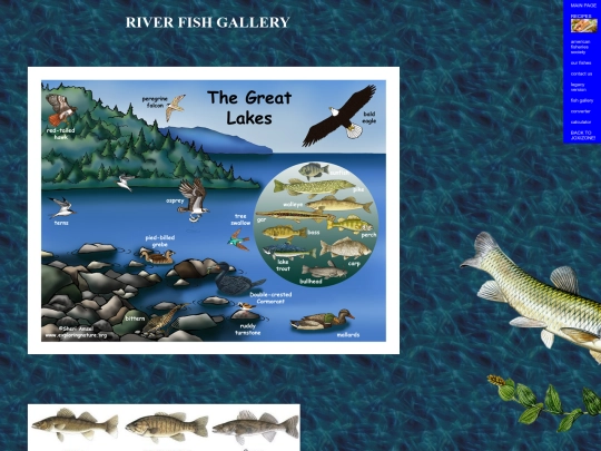 fish/gallery screenshot