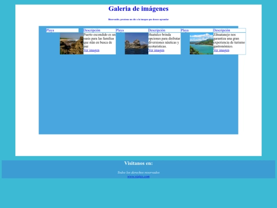 Actividad 4 galeria de imagenes screenshot