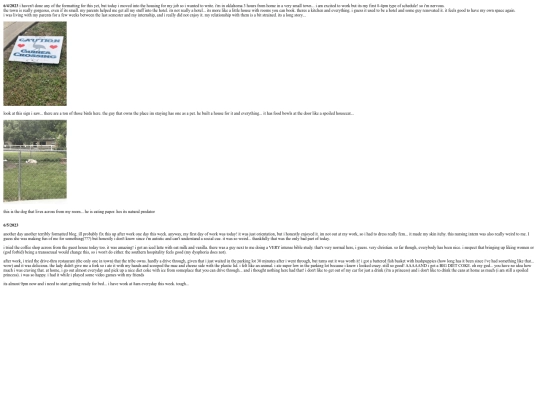 dailyblog screenshot