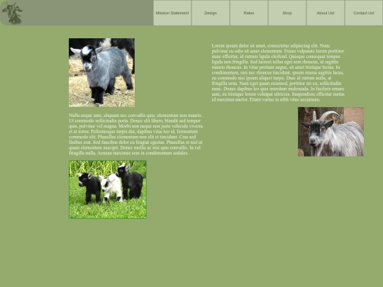 design screenshot