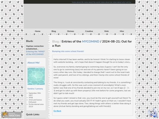 blog entries/entry240821 screenshot