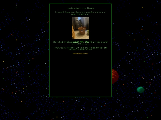 shrinesindex/flowers screenshot