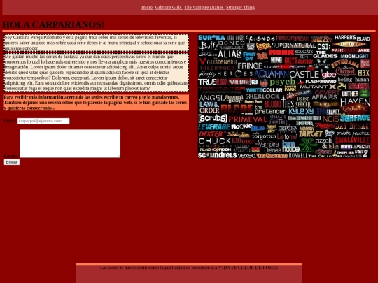 web_voluntaria screenshot