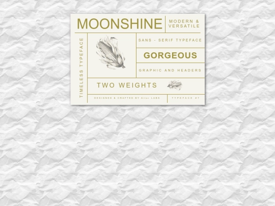 tema04/04602-moonshine screenshot