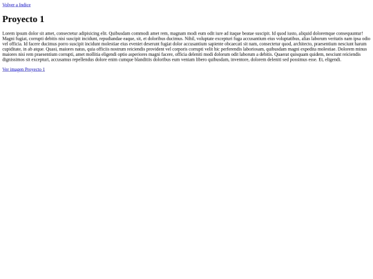 porfolio/proyecto1 screenshot