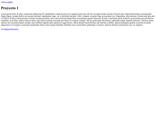 porfolio/proyecto2 screenshot