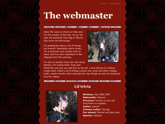 the webmaster screenshot