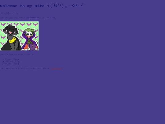 websitetest1 screenshot