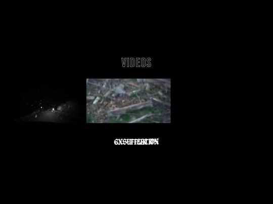videos screenshot