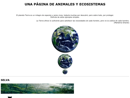 Ejercicio05 screenshot
