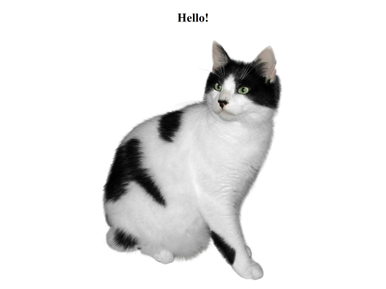 intro screenshot